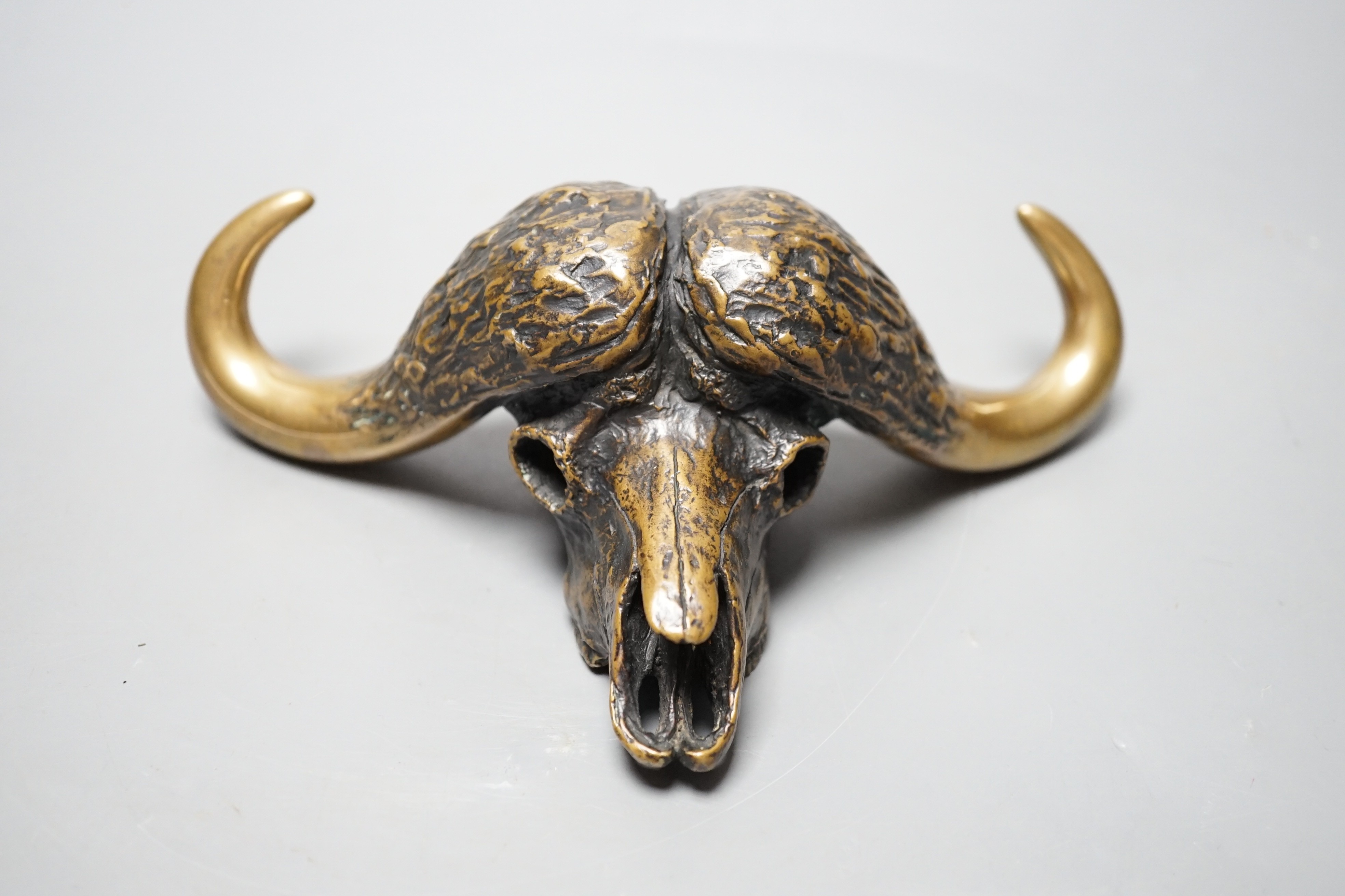 Robert Green, bronze model of a water buffalo skull, 18cm long